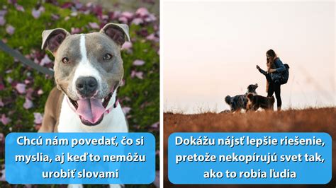 Infografika porovnávajúca čuch psa a človeka