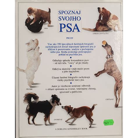 Infografika o právach a povinnostiach majiteľov psov