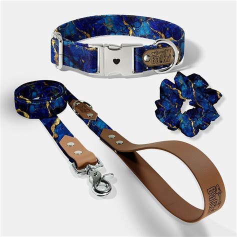 Set obojku a vodítka pre psa