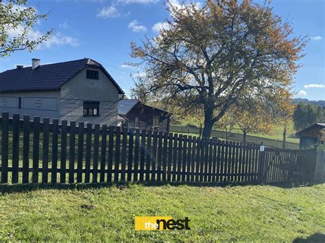 Pes hrajúci sa na oplotenom pozemku