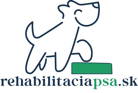 Fyzioterapia psa na rehabilitačnom chodníku