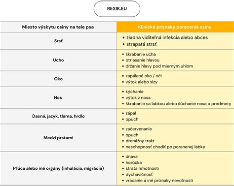 Príznaky Babeziózy u psa