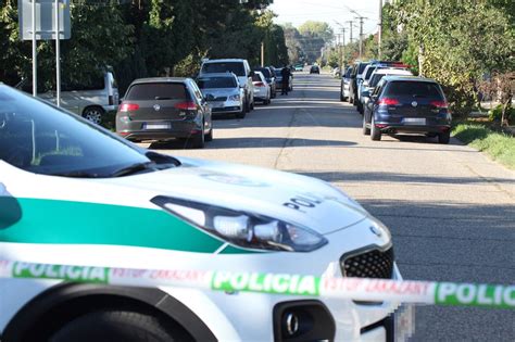 Pitbullteriér pri športe
