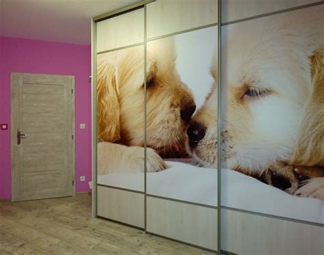 Ilustračná fotografia interiéru s fototapetou psa a mačky