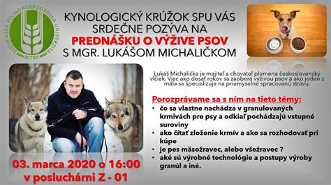 Infografika o správnej výžive psov