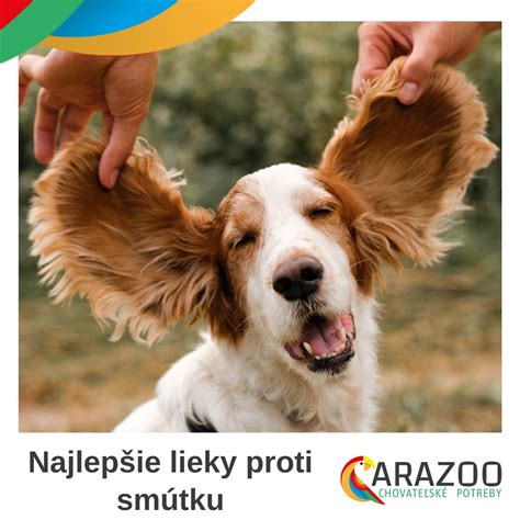 pes žobre pri stole