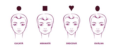 Štruktúra dĺžky života psa podľa veľkosti a tvaru tváre