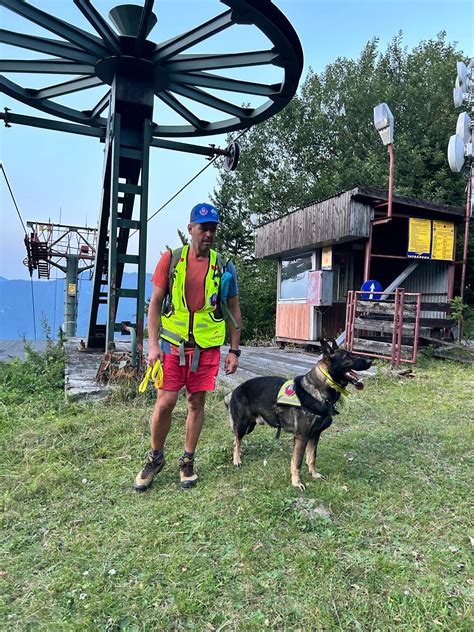 Záchranársky pes pri práci v teréne