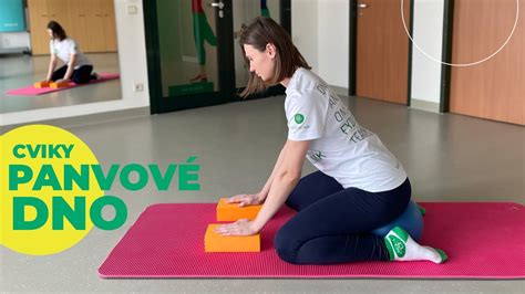 Obrázok psa pri rehabilitácii s fyzioterapeutom