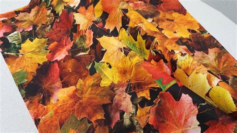 Jesenné lístie v parku