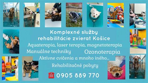 Štruktúra koterca pre psa