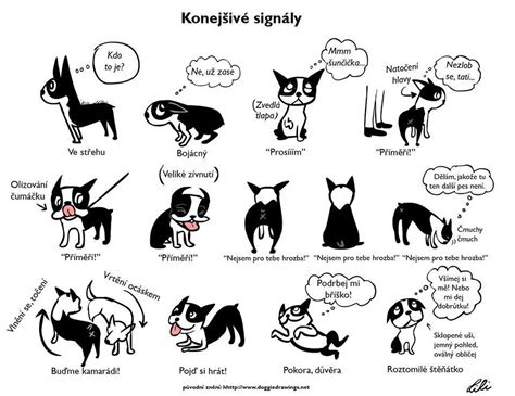 Ilustrácia psích konejšivých signálov