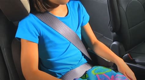 Pes pripútaný bezpečnostným pásom na zadnom sedadle auta