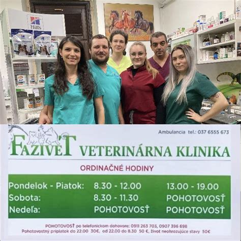 Veterinárna klinika počas operácie oka