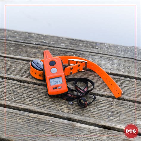 Testovacia dióda elektronického obojku