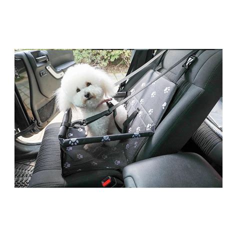 Ilustrácia bezpečnostných pásov a mreží pre psov do auta