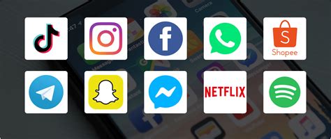 Schéma aplikácie spot-on prípravku na psa