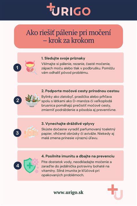 Infografika: Možné príčiny jedenia trávy psom