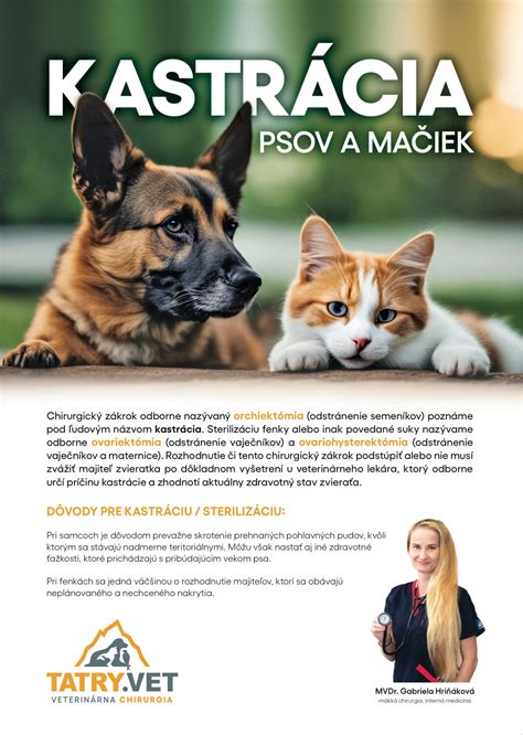 Infografika o dôležitosti kastrácie mačiek
