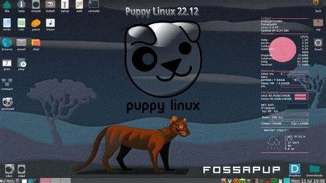 Pracovná plocha Puppy Linux