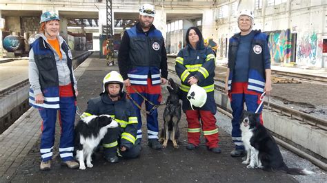 Špecializácie záchranárskych psov