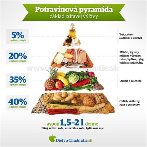Infografika o správnej výžive a hmotnosti bígla
