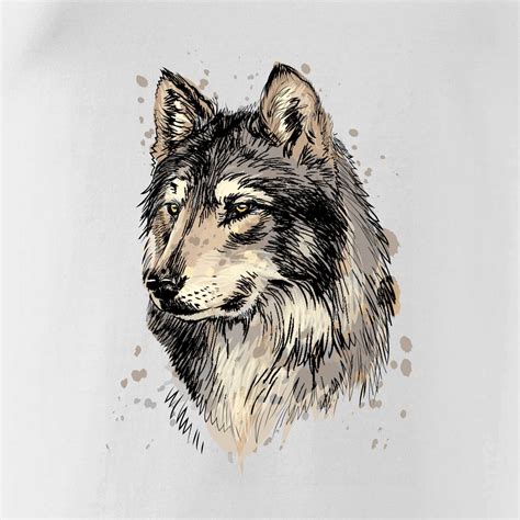 Obrázok vlka a psa vedľa seba