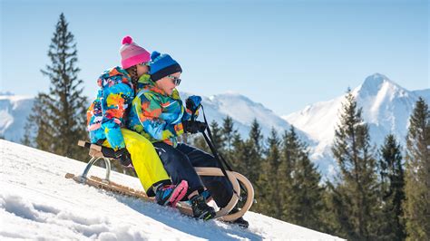 Obrázok psa, ktorý robí „sánkovanie“