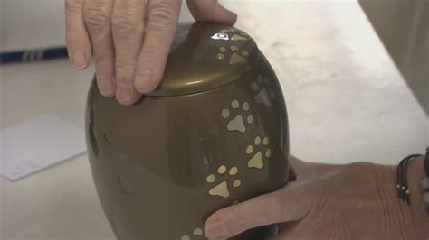 Urna s popolom domáceho zvieraťa