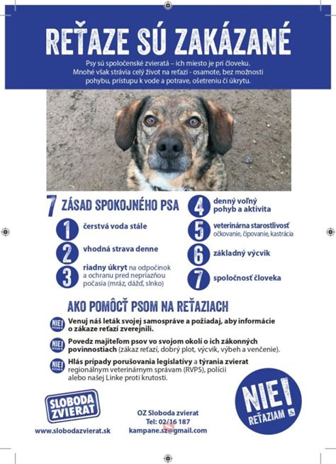 Ilustrácia obmedzenia pohybu psa na reťazi