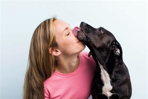 Pes olizuje ňufák, signál stresu