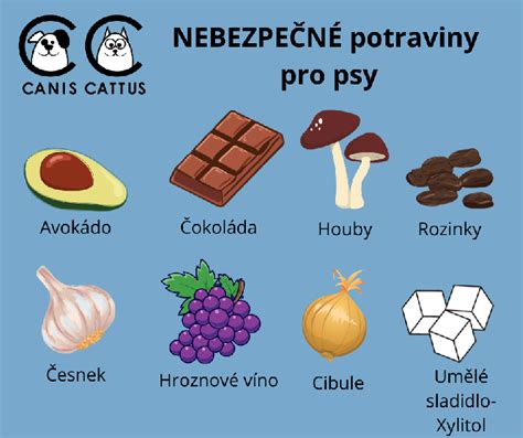 ilustrácia psa odmietajúceho nebezpečné potraviny