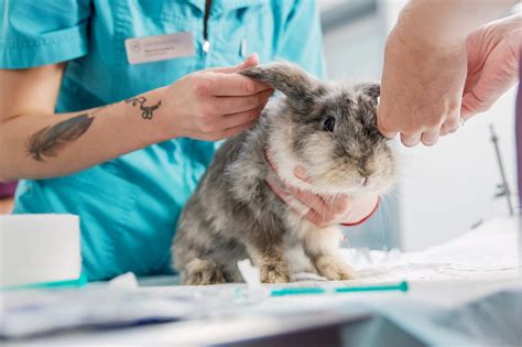 Veterinárna klinika