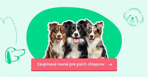 Infografika: Tipy na výber mena pre psa