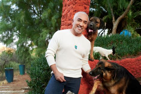 Cesar Millan so psom