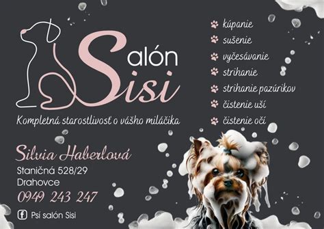 Psí salón s vybavením