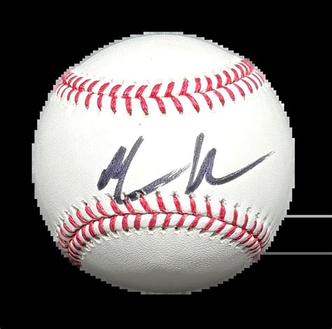 Staroveké zobrazenie psa podobného nemeckej doge