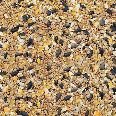 Kvalitné krmivo pre nemeckú dogu