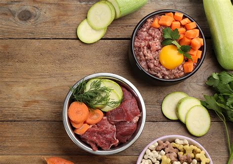 Vyvážená strava pre psa