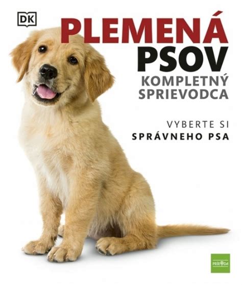 Ilustrácia správneho kŕmenia psov