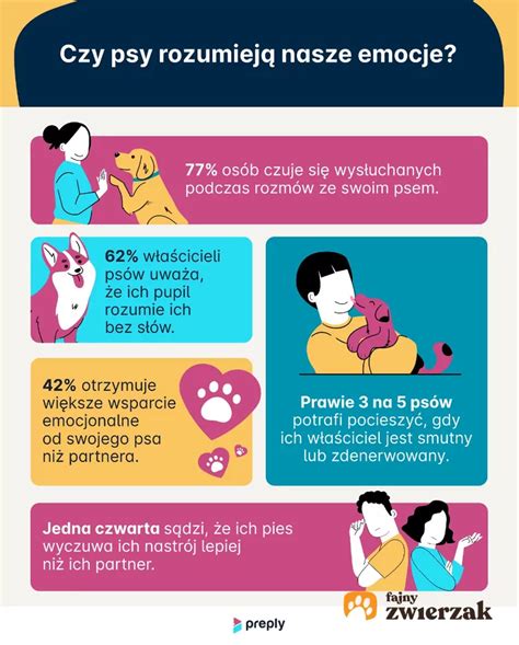 Infografika porovnávajúca čistokrvné psy a krížence