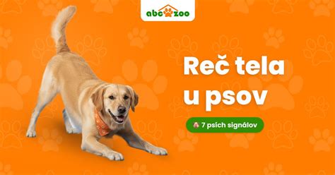 Pes odvracia pohľad