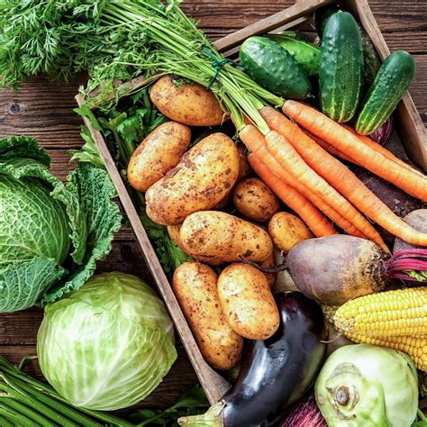 Štruktúra zdravého psieho jedálnička