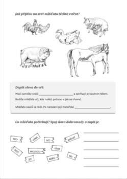 Vývoj mláďat králika