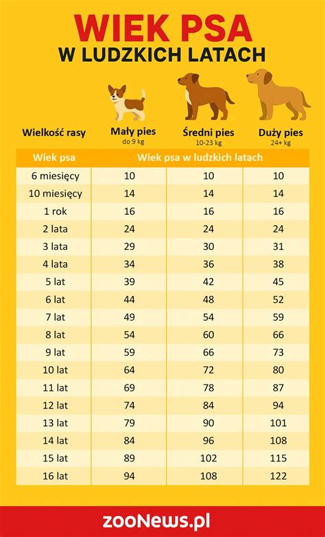 Ilustrácia svetla a tieňa na kresbe psa