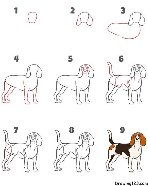 Ilustrácia jednoduchého kreslenia psa krok za krokom