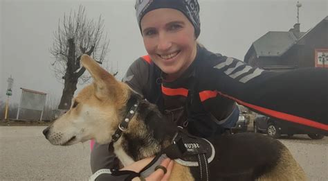 Pes v konflikte s iným psom