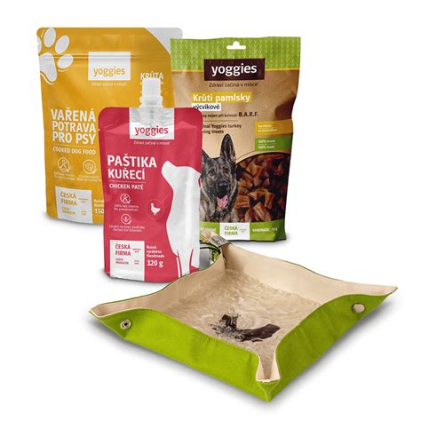 Ilustrácia psa s miskou zdravej potravy