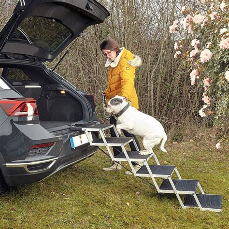 Ilustrácia schodíkov pre psov