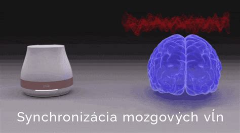 synchronizácia mozgových vĺn človeka a psa